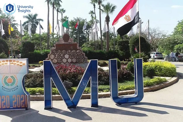 Mansoura University view