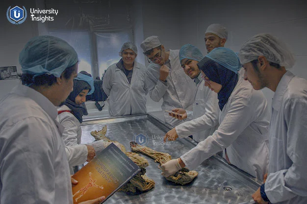 Penza State University- medical student group3