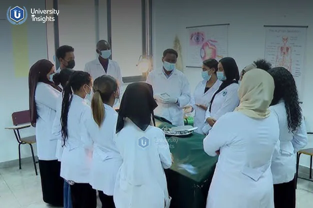 Minia University- studnets group