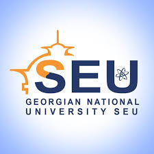 Georgian National University logo view
