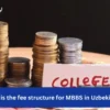fee structure MBBS Uzbekistan-image view