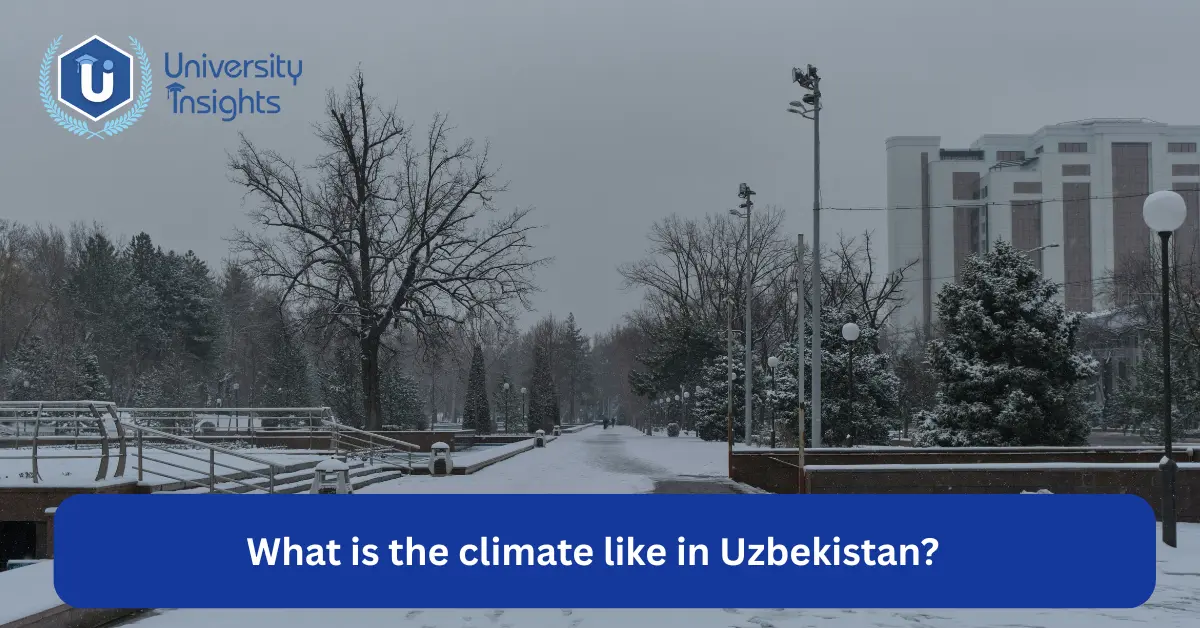 uzbekistan weather- image view
